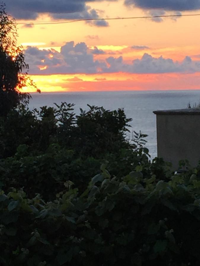 Appartamento Casa Vacanza Saverio Tropea Eksteriør bilde